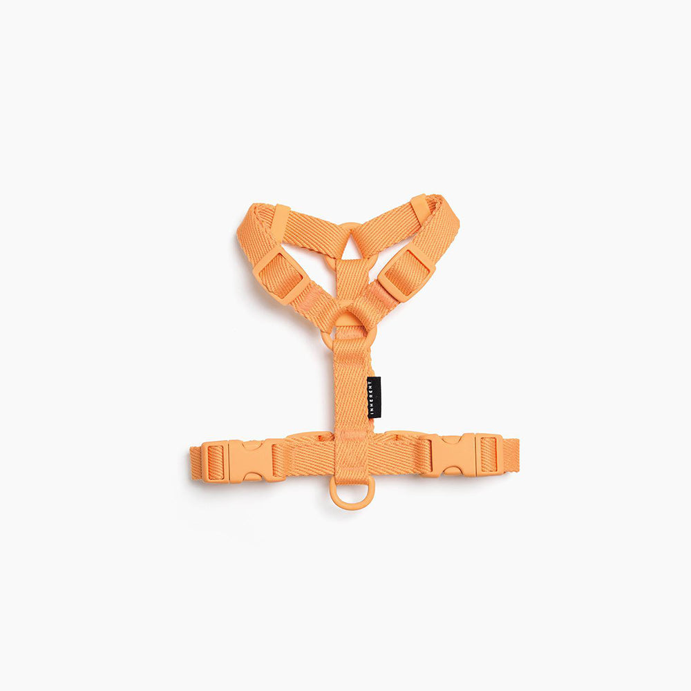 Macaron dog harness