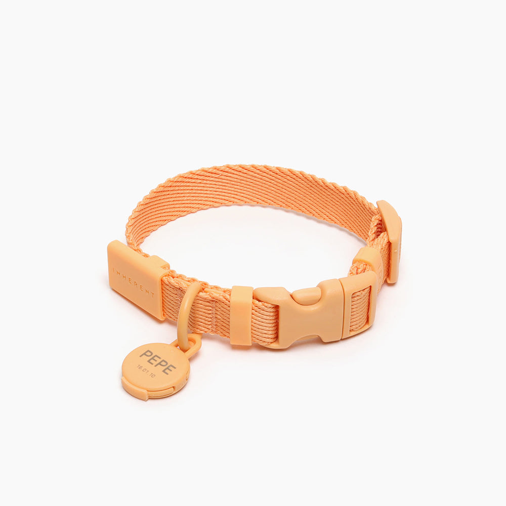 Macaron dog collar