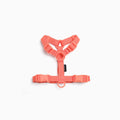Macaron dog harness