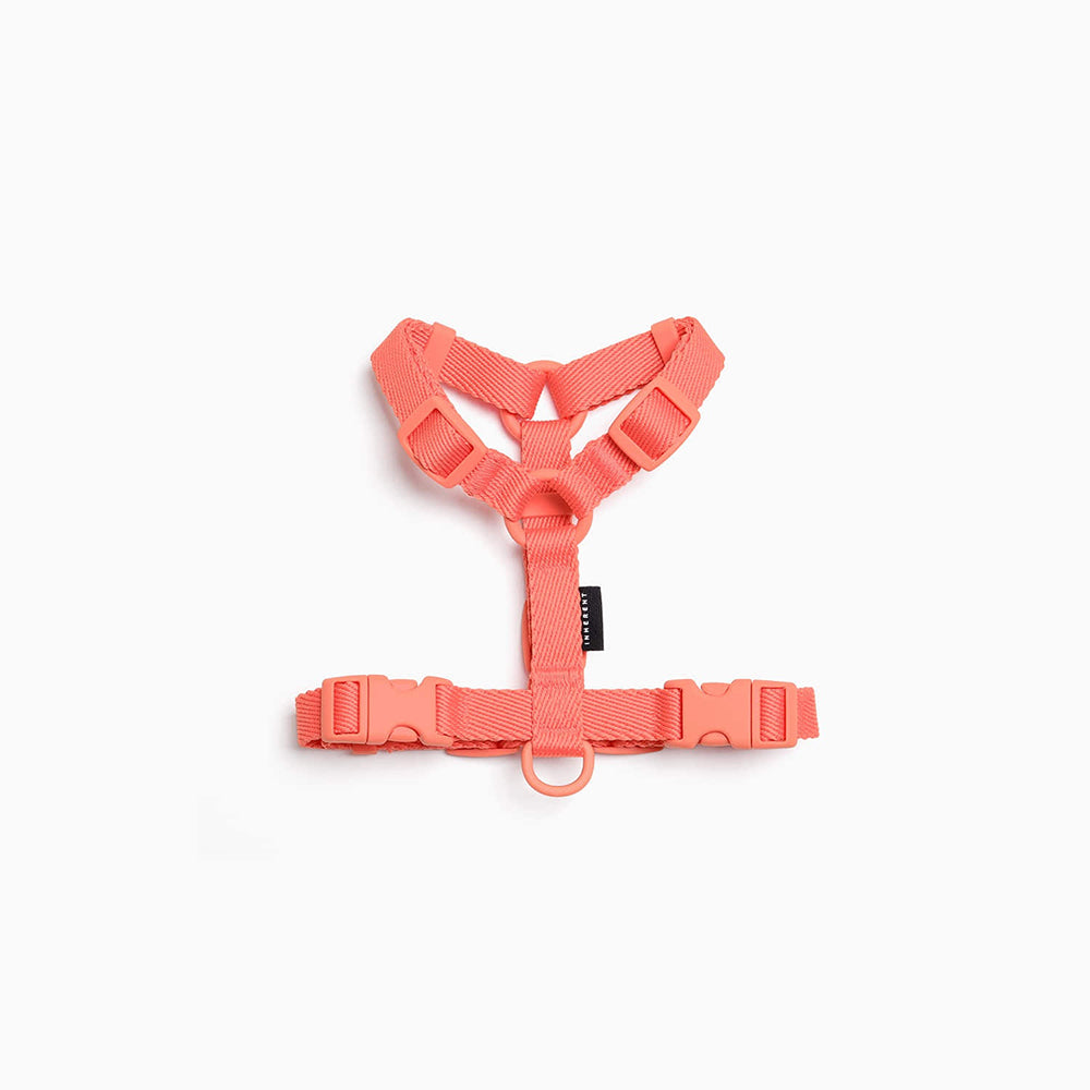 Macaron dog harness